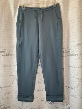 Patagonia Organic Cotton Roaming Joggers XS Blue Gorpcore